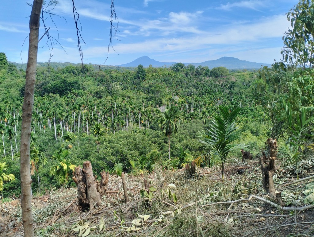 Lahan Perkebunan Warga Gampong Kambuek Nicah Kunyet